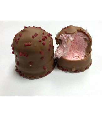 Chocozoen melk aardbeien