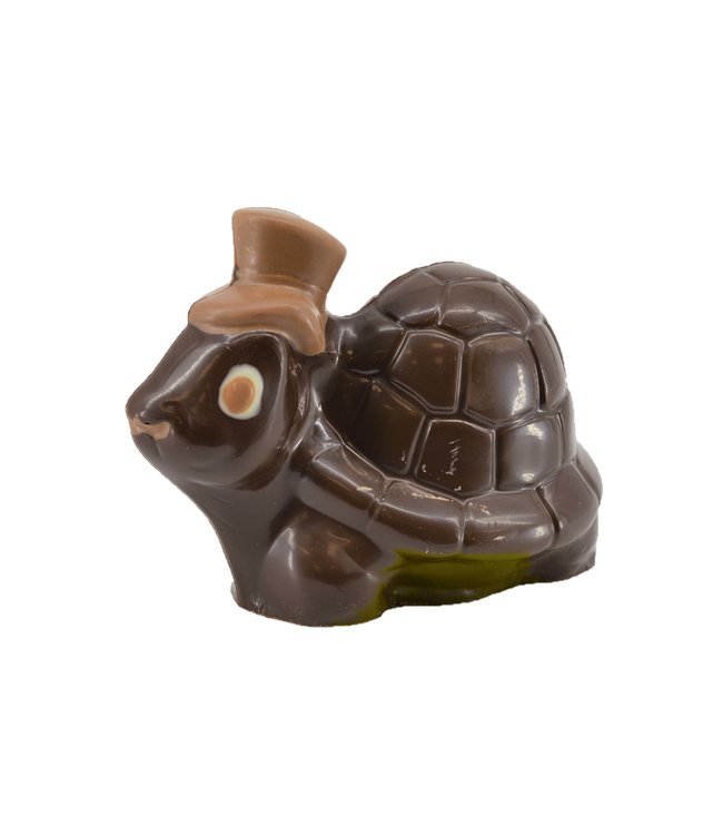 Chocolade schildpad