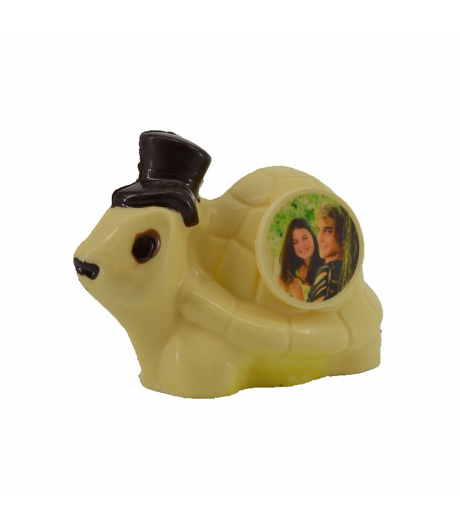 Chocolade schildpad met foto