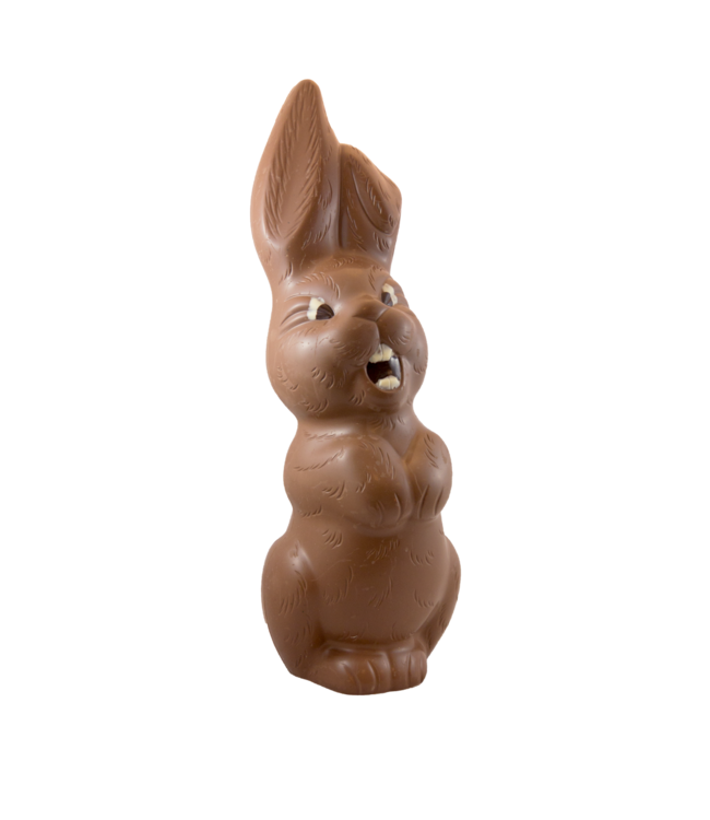 Chocolade paashaas kingsize (70 cm)
