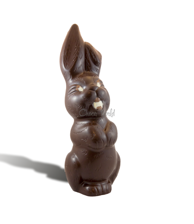Chocolade paashaas kingsize