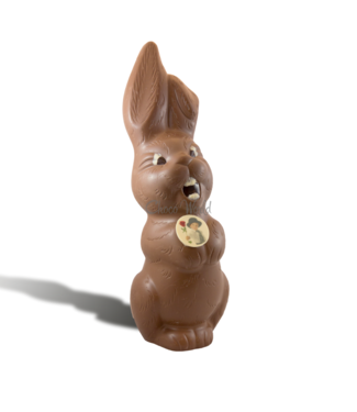 Chocolade paashaas kingsize met foto
