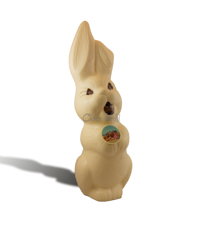 Chocolade paashaas kingsize met foto