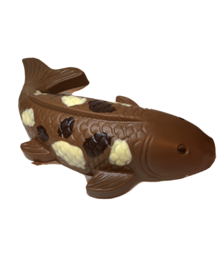 Chocolade koi karper groot
