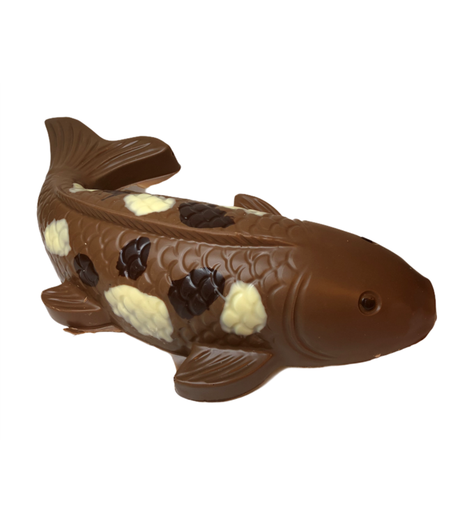 Chocolade koi karper groot
