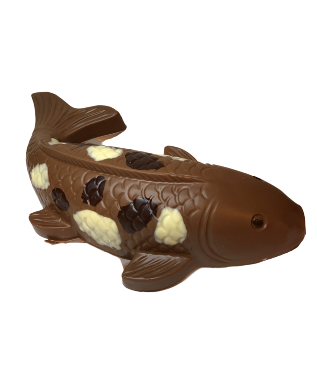 Chocolade koi karper groot