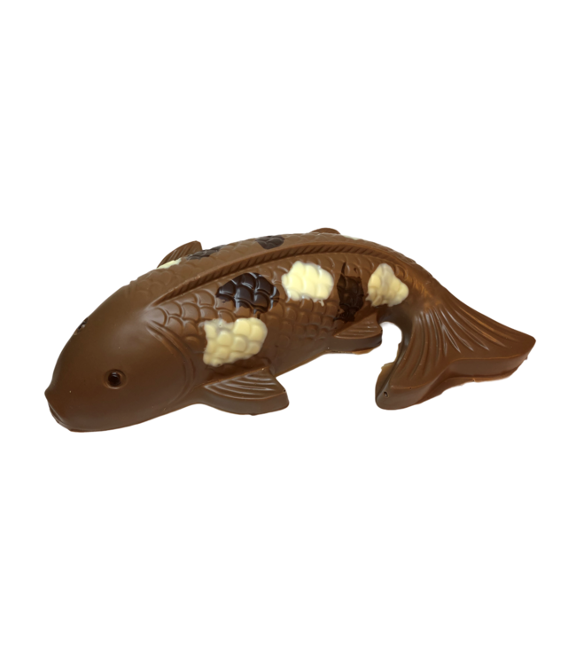 Chocolade koi karper groot