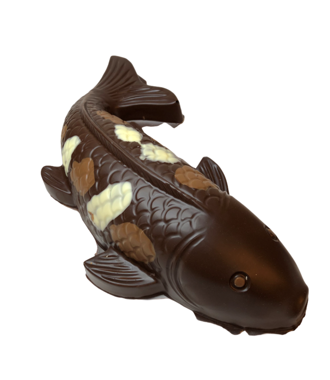 Chocolade koi karper groot