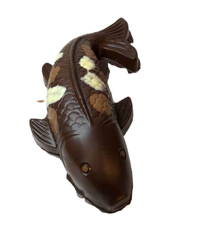 Chocolade koi karper groot