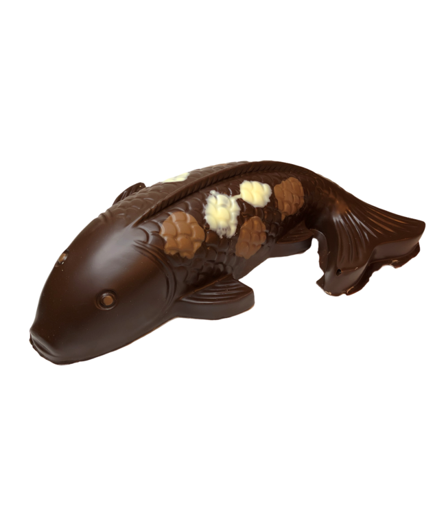 Chocolade koi karper groot