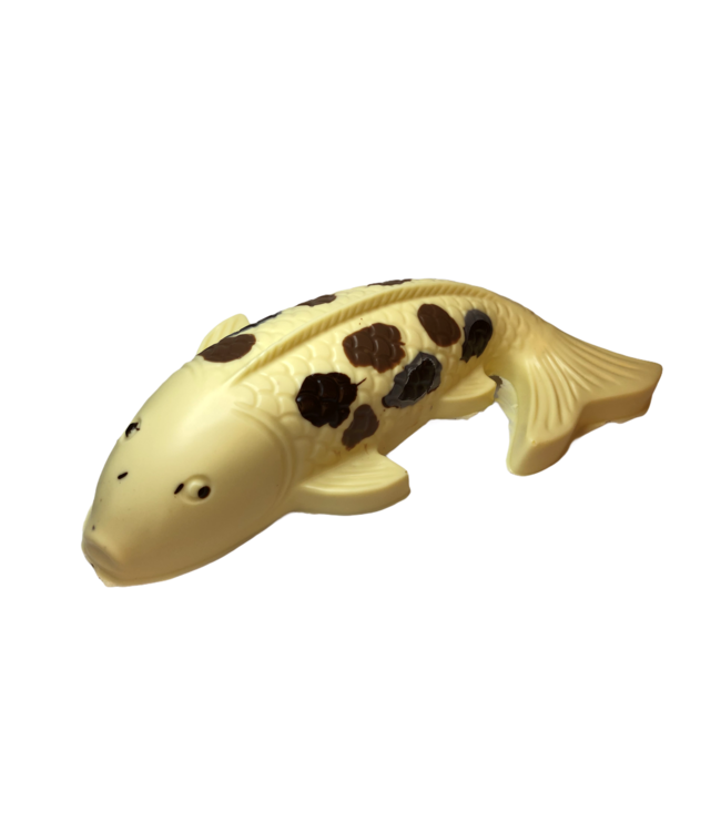 Chocolade koi karper groot