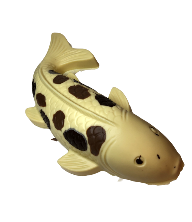 Chocolade koi karper groot