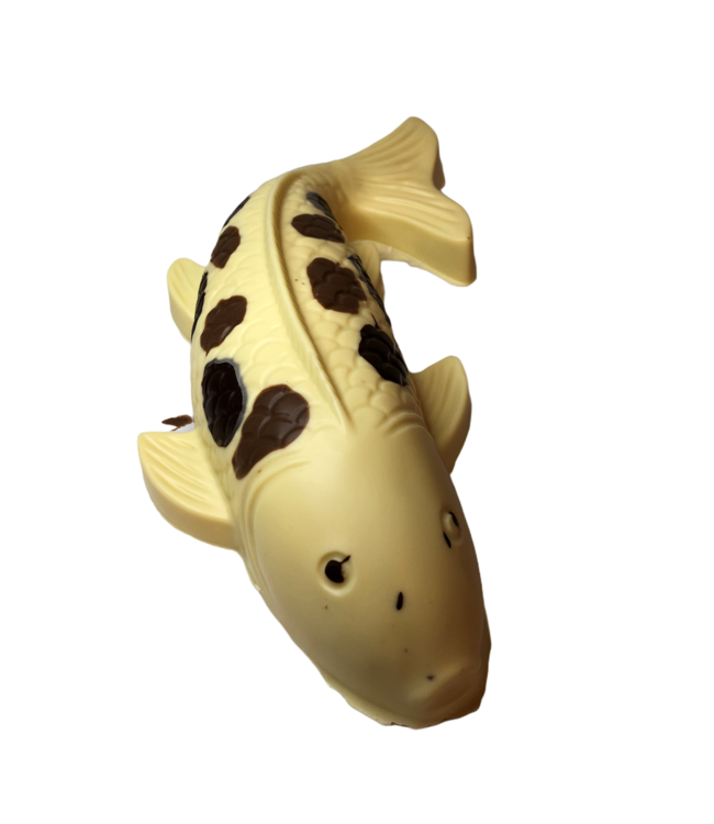 Chocolade koi karper groot