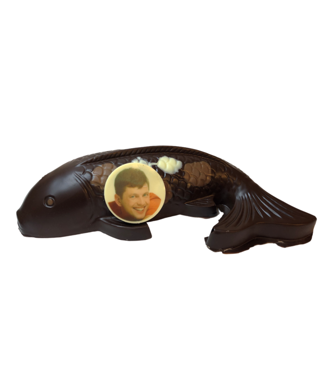 Chocolade koi karper groot met foto
