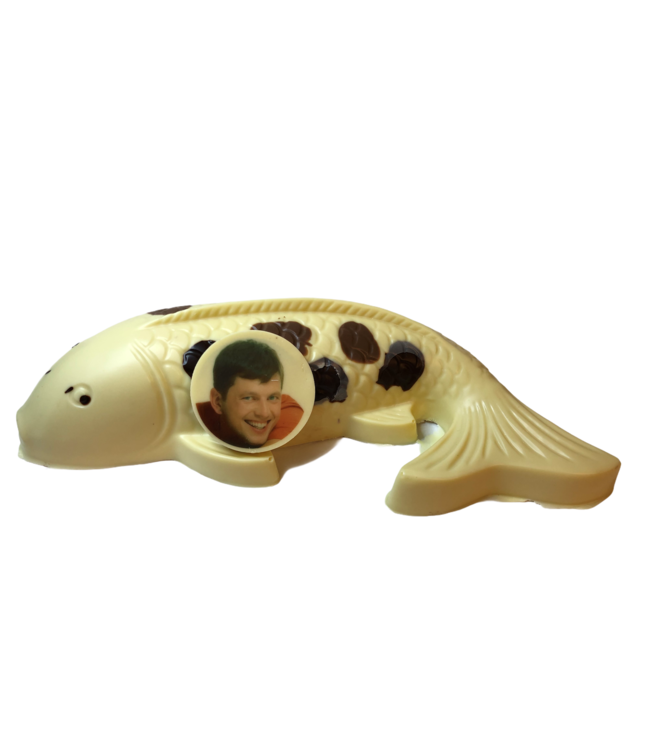 Chocolade koi karper groot met foto