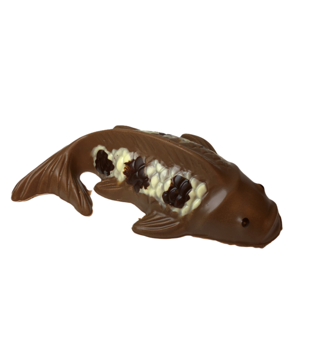 Chocolade koi vis (S)