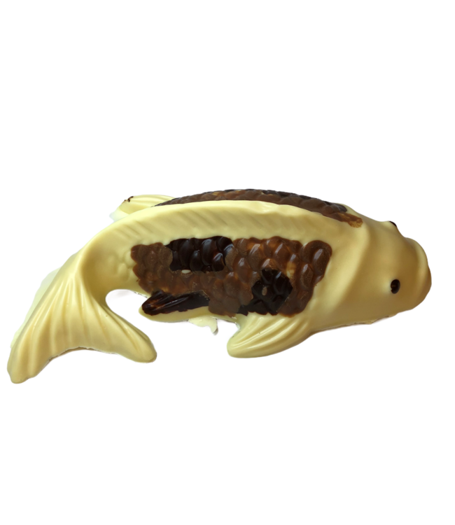 Chocolade koi vis (S)