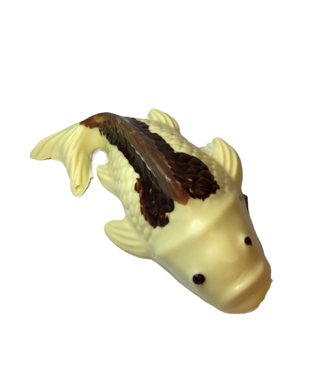 Chocolade koi vis (S)