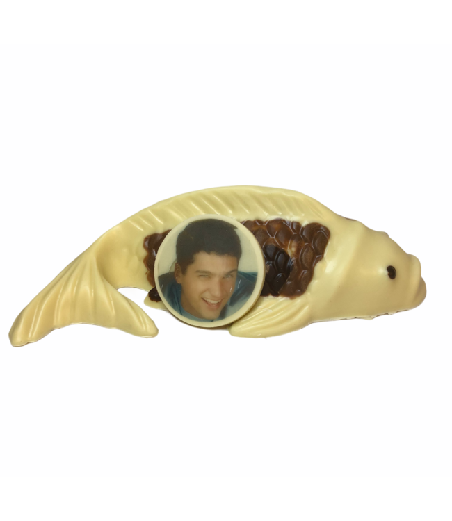 Chocolade koi vis (S) met foto