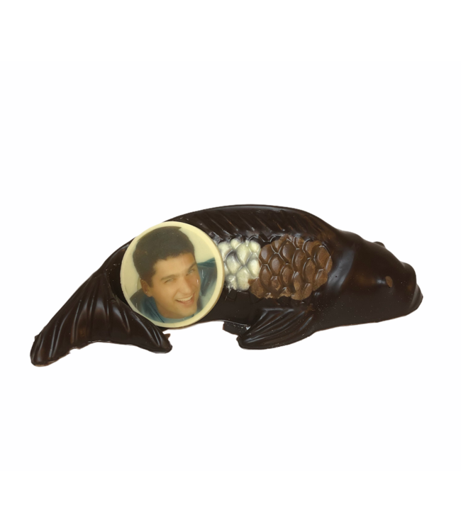 Chocolade koi vis (S) met foto