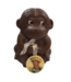 Chocolade aapje met foto