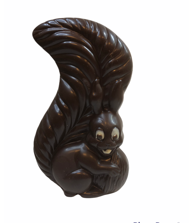 Chocolade eekhoorn