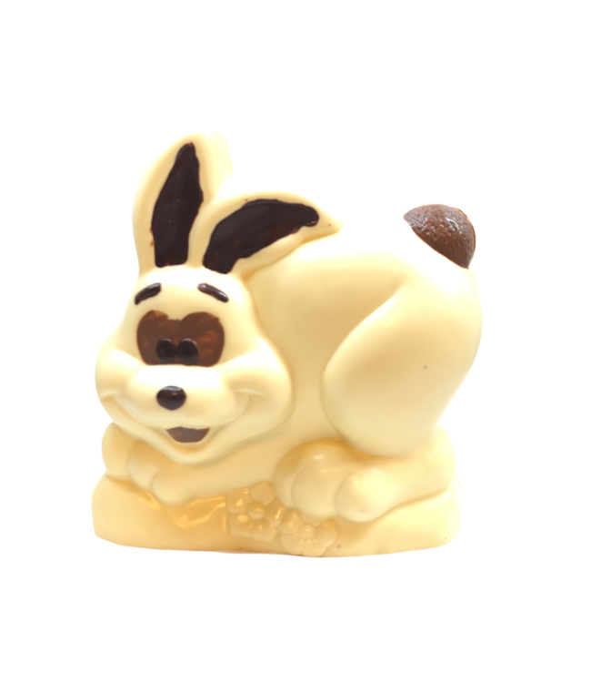 Chocolade haas victor