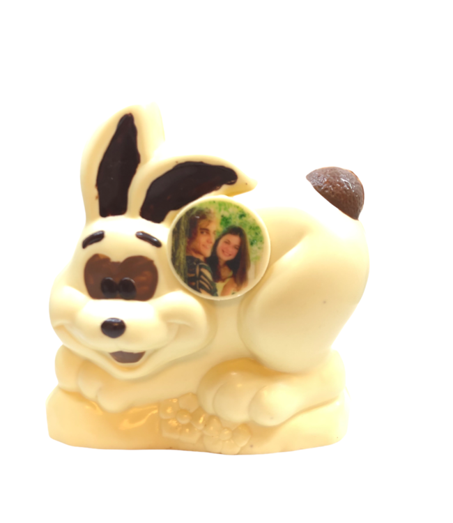 Chocolade haas victor met foto