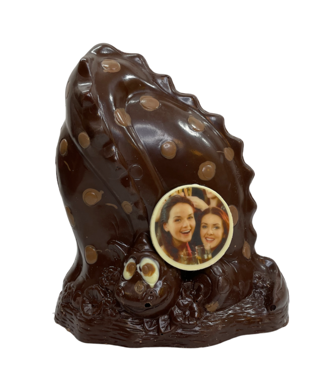 Chocolade happy dino met foto