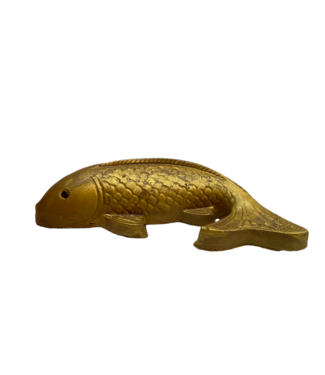 Chocolade goud koi karper