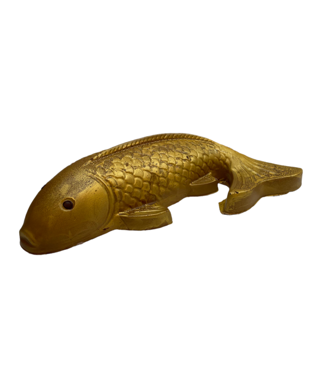 Chocolade goud koi karper