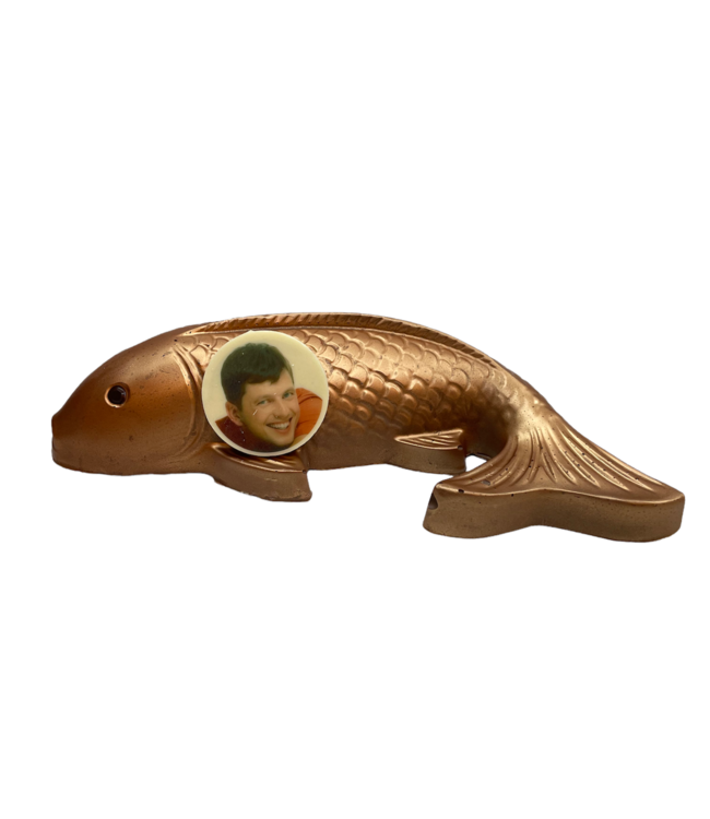 Chocolade goud koi karper met foto