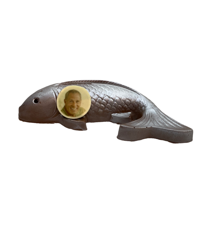 Chocolade goud koi karper met foto