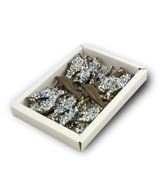Chocolade dolfijntjes met blauwe muisjes