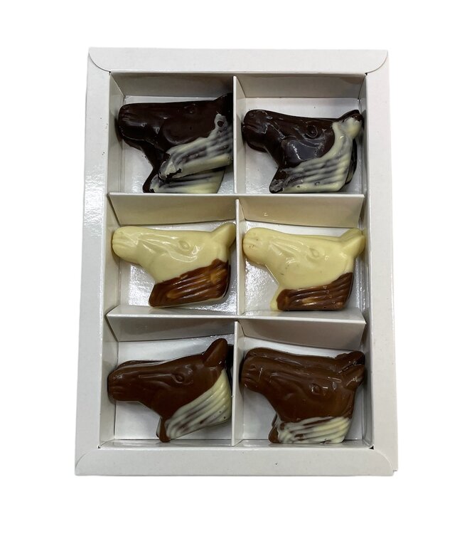 Chocolade paardenkopje