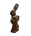 Chocolade haas groot