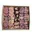 Chocolade geboorte assortiment roze