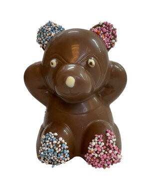 Chocolade beer met roze en blauwe muisjes