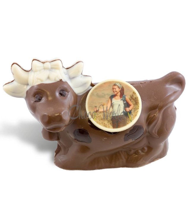 Chocolade koe met foto