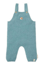 Little Dutch kleding Little  Dutch Cl252240 Tuinbroek Baby blue
