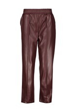A&A Amélie San Donato Broek  Choco W52