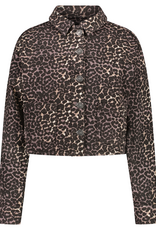 Cars Cars Norah Jasje Leopard     W52