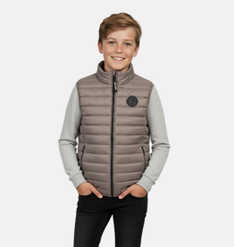 Cars Cars Buddy Bodywarmer taupe S62