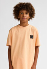 Petrol Petrol Boys T-shirt TSR609 Tropical Orange S62