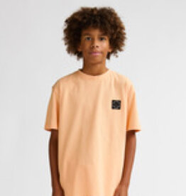 Petrol Petrol Boys T-shirt TSR609 Tropical Orange S62