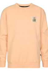 Petrol Petrol Boys Sweater SWH311 Tropical Orange S62