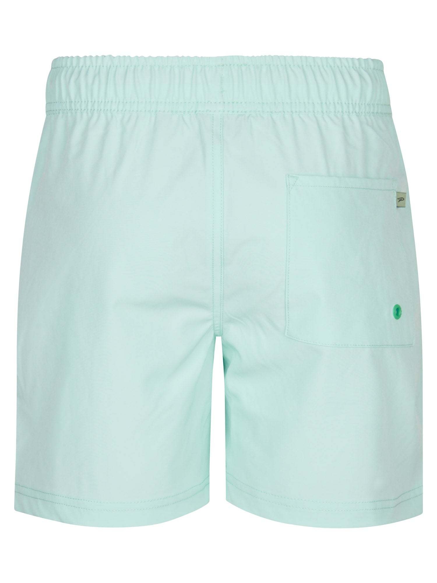 Petrol Petrol Boys short SWS963 Cool Mint S62