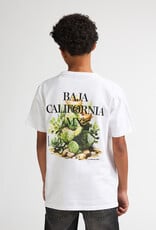 Petrol Petrol Boys T-shirt TSR654 Bright White S62