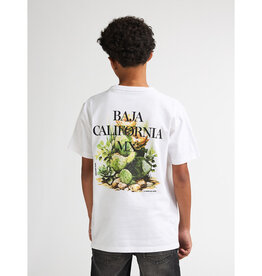 Petrol Petrol Boys T-shirt TSR654 Bright White S62