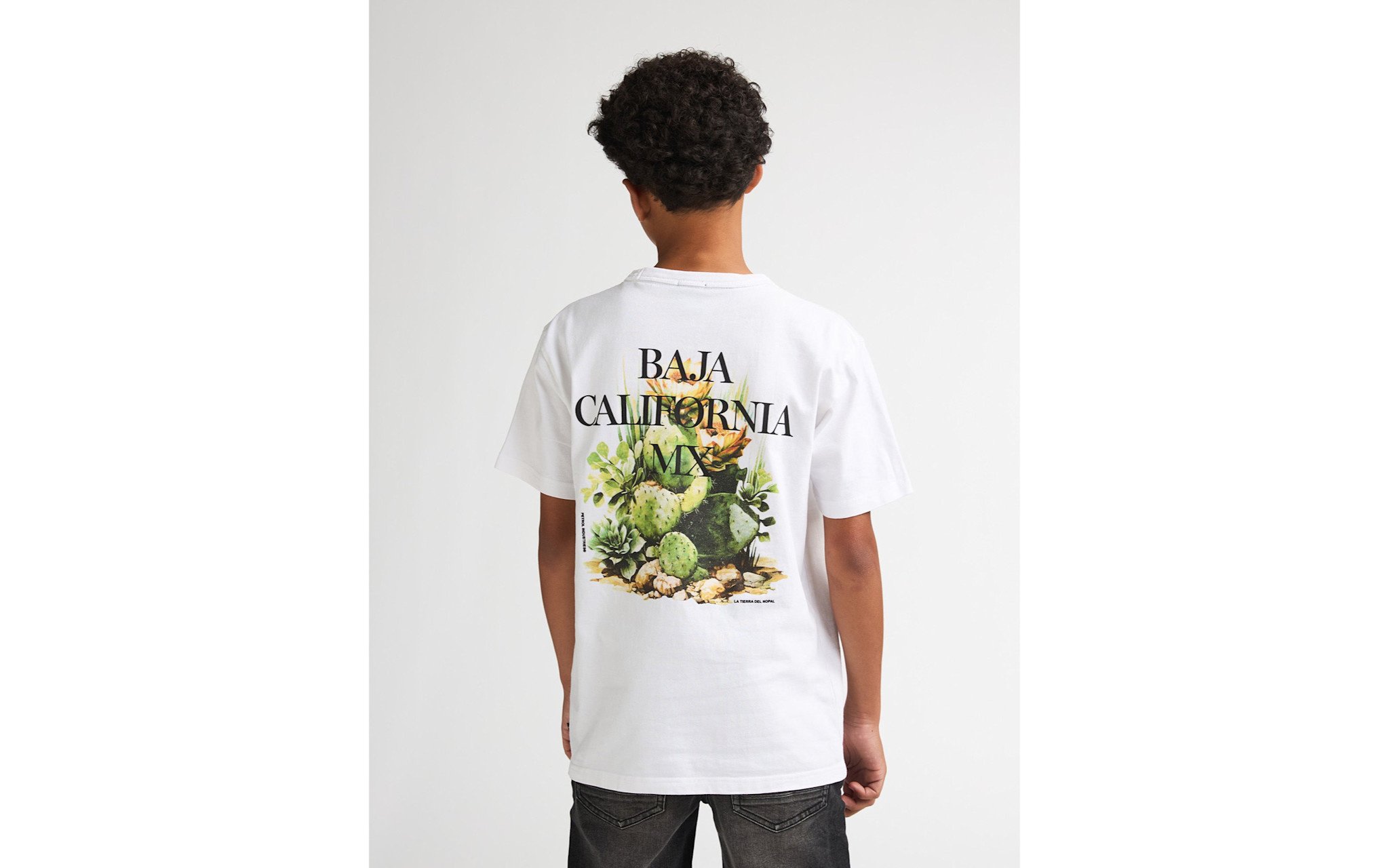 Petrol Petrol Boys T-shirt TSR654 Bright White S62